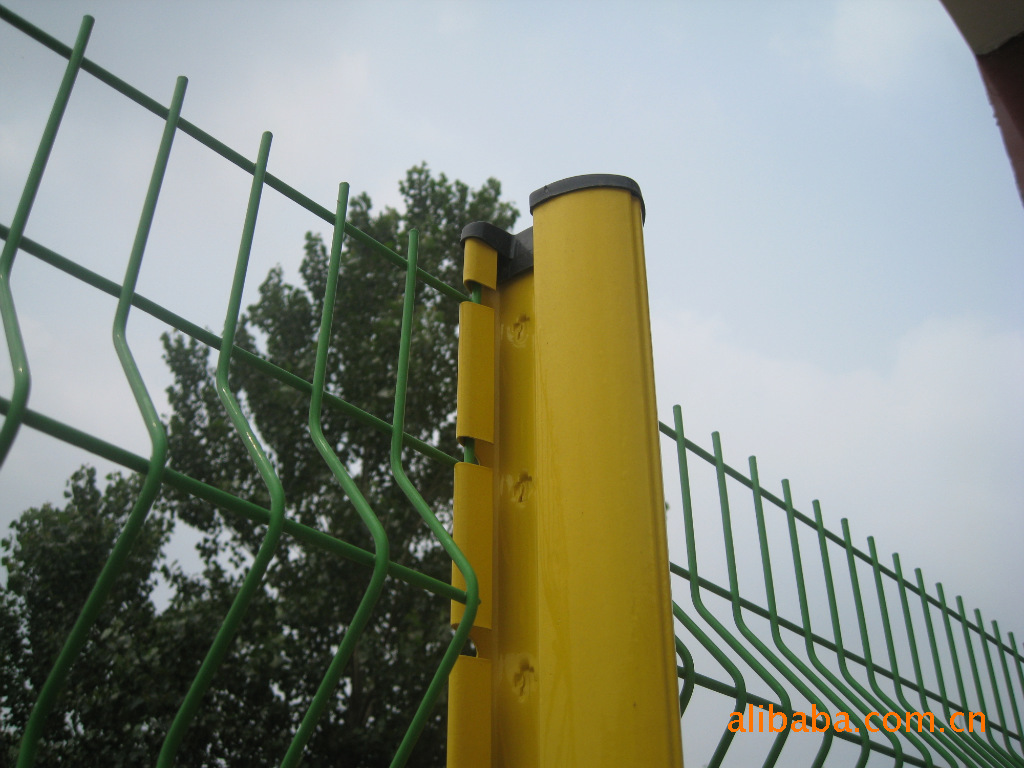 ���������ھW(w��ng)-01