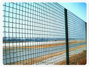 �B(y��ng)ֳ���ھW(w��ng)-01