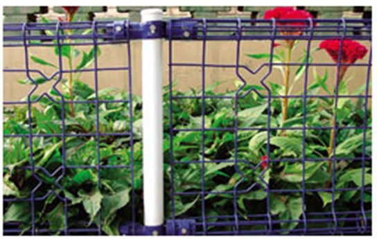 �pȦ���ھW(w��ng)-05