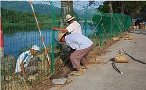 �p߅�z���ھW(w��ng)-03