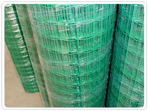 �B(y��ng)ֳ���ھW(w��ng)-04