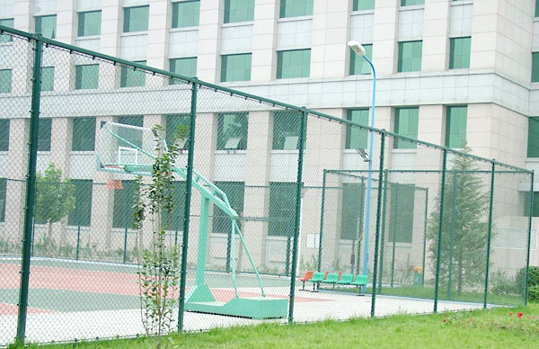 �������ھW(w��ng)-02