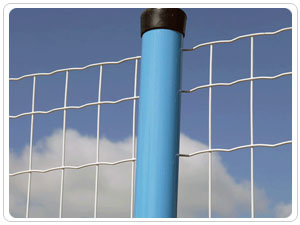 �B(y��ng)ֳ���ھW(w��ng)