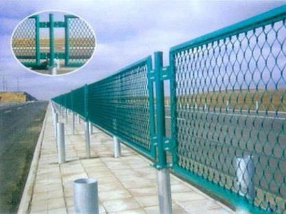 䓰�W(w��ng)���ھW(w��ng)-03