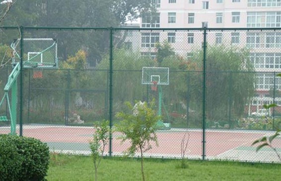 �w�������ھW(w��ng)-02