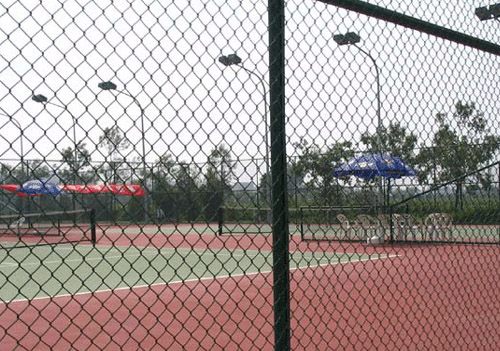 �w�������ھW(w��ng)-03