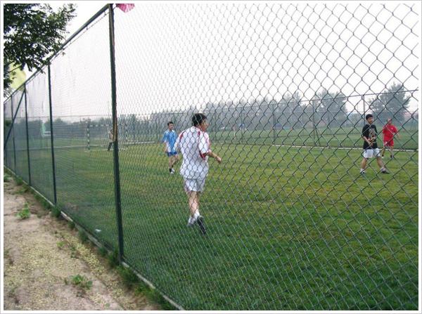 �w�������ھW(w��ng)-04