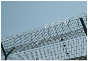 監(jiān)獄圍欄網(wǎng)-01