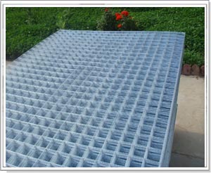 ���P�늺��W(w��ng)Ƭ