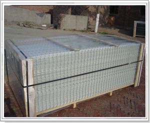 ���P�늺��W(w��ng)Ƭ-04